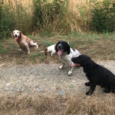 Du vin, du pain, du boursin! pecheur, chasseur, du rugby, wrangler de Les epagnol. Retired agronomist on to the next chapter en France. Pot/Noodle