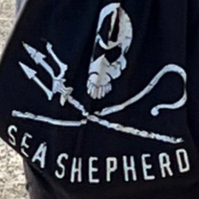 Bingowiner13's profile picture. Positionnement à confirmer.