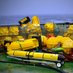 MUNOceanography (@munoceanography) Twitter profile photo MUNOceanography (@munoceanography) Twitter profile photo