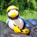 MonaMöwe, die Plüschbande🐪🐑🦀🐑und Gäste (@strickdings) Twitter profile photo MonaMöwe, die Plüschbande🐪🐑🦀🐑und Gäste (@strickdings) Twitter profile photo