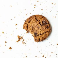 Hotel/Motel Biscuit Census (@biscuitcensus) 's Twitter Profile