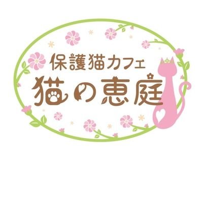 『撫でる手が足りなくなるお店』甘えん坊な猫達による癒し

お問い合わせ09073610129

お店の詳細はお手数ですが
ＨＰをご覧下さい🐱🐰




 #大阪難波保護猫カフェ猫の恵庭