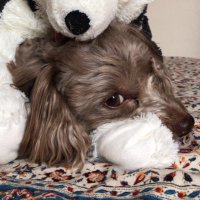 mana linda (@mana_linda_ill) 's Twitter Profile Photo mana linda (@mana_linda_ill) 's Twitter Profile Photo