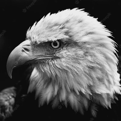 soobservo1922's profile picture. 