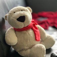 Knut der Eisbär (@knuthuwe) 's Twitter Profile