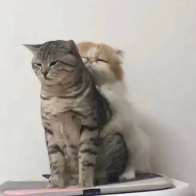 Calameoさんのプロフィール画像