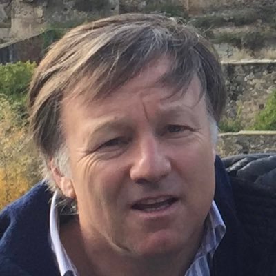 Director de empresas. Economista, MBA, Egresado Magister Historia
