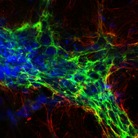 Pearce Lab (@pearce_lab) 's Twitter Profile Photo Pearce Lab (@pearce_lab) 's Twitter Profile Photo