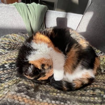 Queenthecat6's profile picture. https://t.co/fTXWQT88zW