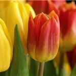 Aya02968171's profile picture. 初心者でも出来るラクラク副業を紹介しています💜スマホがあればどこでもお仕事可能🌟自分のペースでスキマ時間にやれます💚私自身3ヵ月で月100万達成しました💫副業に挑戦したい方を全力でサポートしてます💪無言フォロー失礼します🙏