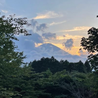 KS33021414's profile picture. 九大→総研大→九大→🇺🇸(MGH)。博士(理学)。sulfide metabolismと神経変性疾患とか心疾患とかの関連について研究してます。