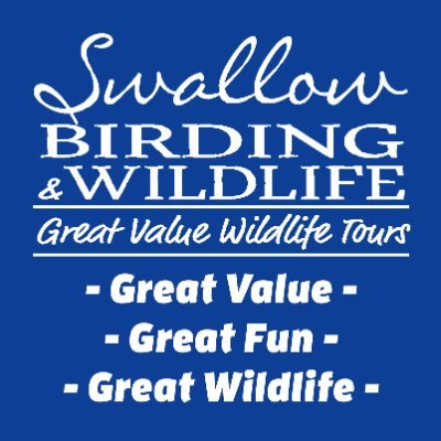 Birding & Wildlife Tours & Day Trips in the UK, Europe and beyond. 
'Great Value - Great Fun - Great Wildlife'