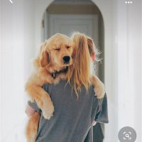 H🌿 (@kyintrovert) 's Twitter Profile