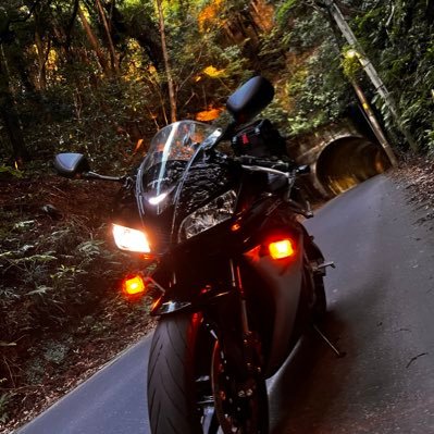 cbr600r59256619's profile picture. cbr600rr pc40 逆車