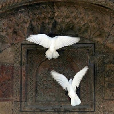 X_iaad's profile picture. 