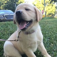 john mk (@mooniezal) 's Twitter Profile