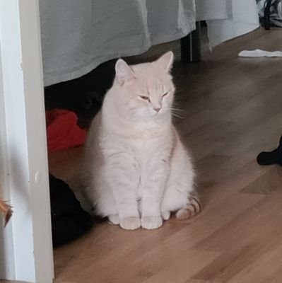 csgohvher's profile picture. pretty alright
https://t.co/aRiUMfo8jd
https://t.co/ShmnSj2eIp