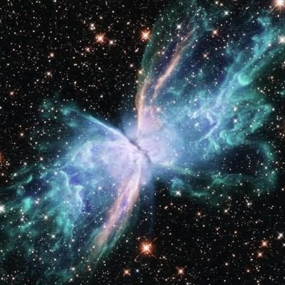 ブリーダー、生体販売、毛皮、動物実験、密猟、熊胆廃止.MIYAVI
D.Bowie.TheClash.TheCure.
AC/DC.ラルク.ハイド.Yoshiki
TL RS.X JAPAN .SUGIZO
角松敏生 山下達郎 フジコ・ヘミング シャガール サグラダ・ファミリア 未来党
アントニ・ガウディ
