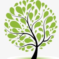 American Muslims For Sustainability (@amssaveenergy) 's Twitter Profile