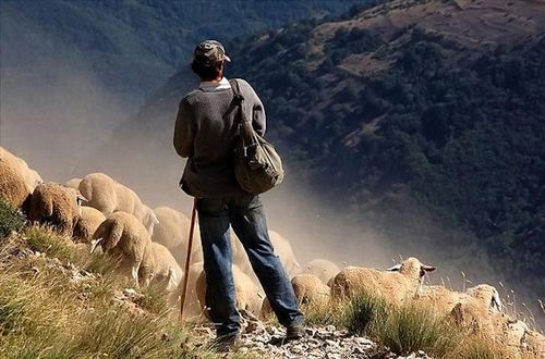 cpalomsa's profile picture. 