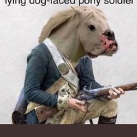 Dog-Faced Pony Soldier (@hackster66) 's Twitter Profile