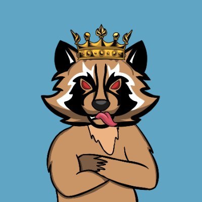 BAD RACCOONさんのプロフィール画像
