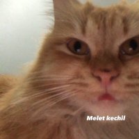 -•- (@retnowllndr) 's Twitter Profile