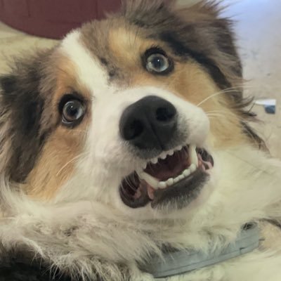 renezenteno96's profile picture. 