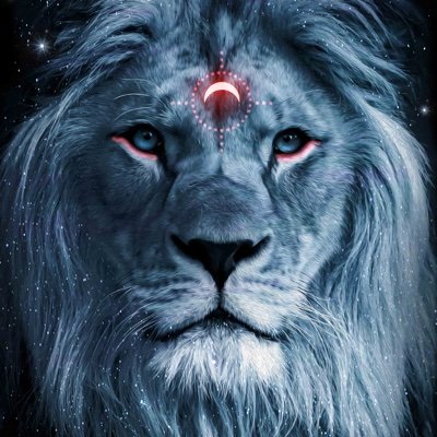 LegaRizky's profile picture. 