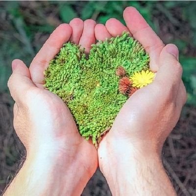 CatholicsChange's profile picture. 