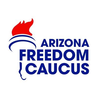 The Defenders of Freedom in Arizona. Katie Hobbs’ Democratic Fascism will not win under our watch.