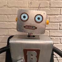 Bruce (@bruce_the_robot) 's Twitter Profile