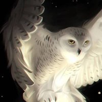 jerrinantony Tabi 🟧 (@jerrinantony18) 's Twitter Profile Photo