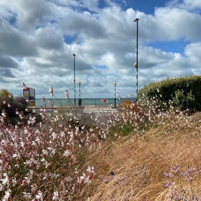 thepolishlist's profile picture. Secondary Science Teacher 🧪🧬