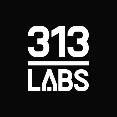 313 Labs