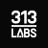 @313Labs