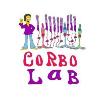 Corbo Lab at Washington University in St. Louis(@CorboLab) 's Twitter Profile Photo