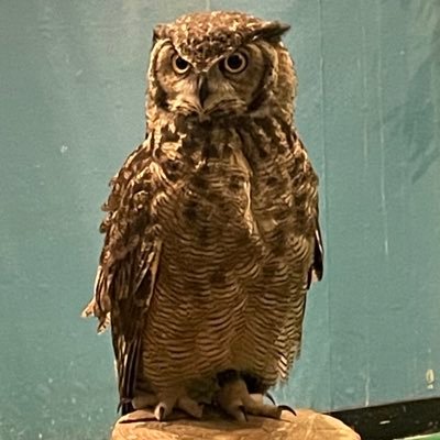 shoutaさんのプロフィール画像