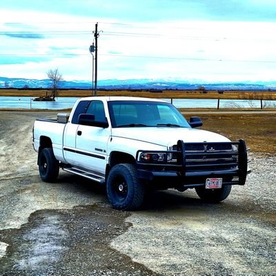 Assassain41's profile picture. Do what you want