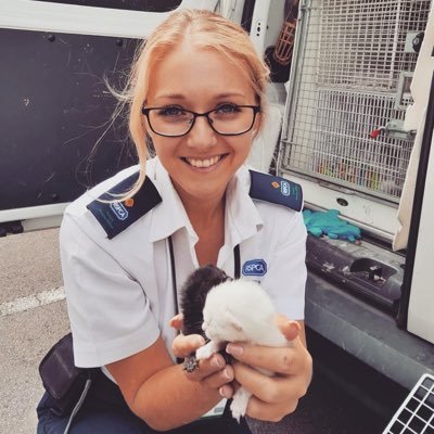 Animal Rescue Officer for @RSPCA_official 🐱 Trying to show daily rescues to help promote what we do! Sick or injured animal please call 03001234999 🐾