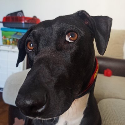 EstebanDido2780's profile picture. 