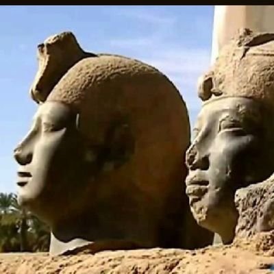 NagiOsman9's profile picture. احب بلادي وتاريخي وحضارتي نوبي كوشي دنقلاوي  سوداني و افتخر