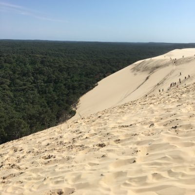 LetantV's profile picture. 