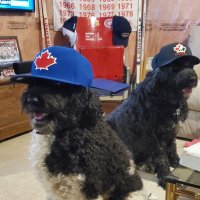 Goldie (@larrygohabsgo) 's Twitter Profile