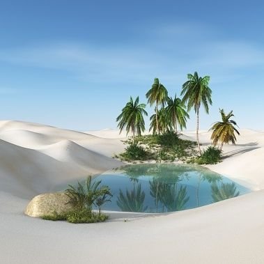 lssvm95's profile picture. 