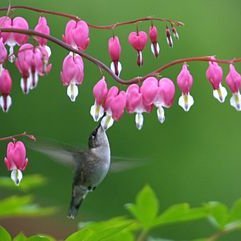 northtrust1's profile picture. 