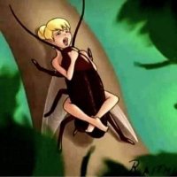 Feijoada (@feijoada_arroz) 's Twitter Profile