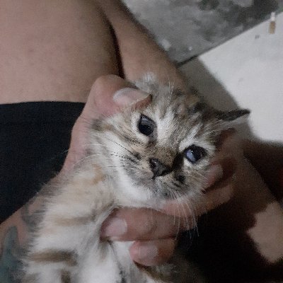 jimy01143's profile picture. Free fun fresh.. enjoy