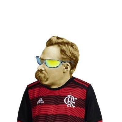 Nada neste mundo consome mais rapidamente o homem que a paixão pelo FLAMENGO