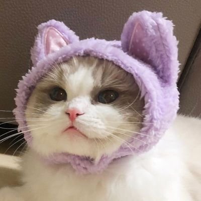 18+
tiny twitch streamer
🔮
photography
🦋
saving up for a computer
💿
I want to make new friends and have fun
☁️